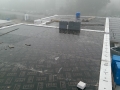 IMAG0111.jpg
