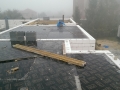 IMAG0113.jpg