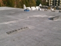 IMAG0117.jpg