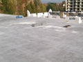 IMAG0121.jpg